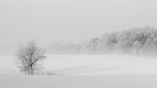 Qué es un invierno nuclear y por qué es tan peligroso para la vida en la Tierra<em></em>